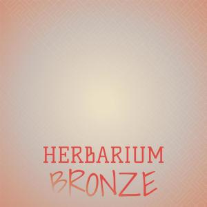 Dengarkan Herbarium Bronze lagu dari Orette Dham dengan lirik