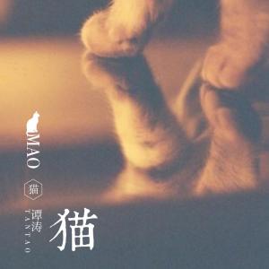 收聽譚濤的貓歌詞歌曲