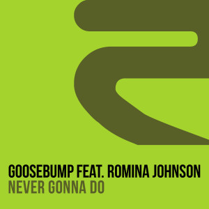 Listen to Never Gonna Do (Phunk Investigation Dub) song with lyrics from Goosebump