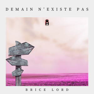 Album Demain n'existe pas (DNP) (Explicit) from Brice Lord