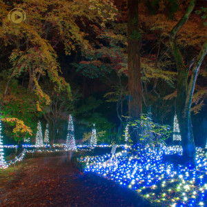 收聽ALL BGM CHANNEL的Akikaze (feat. Noru) [xmas version]歌詞歌曲