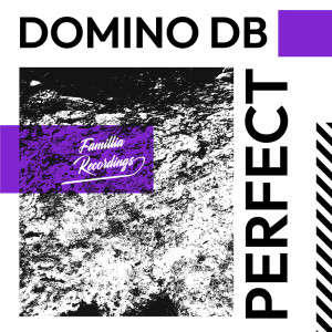 Domino DB的专辑Perfect