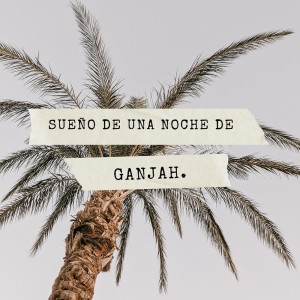 收聽Soulmacklein的Sueño de una noche de ganjah歌詞歌曲