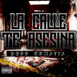 收听Boss Hemafia的Ya No Tiene Caso (Explicit)歌词歌曲