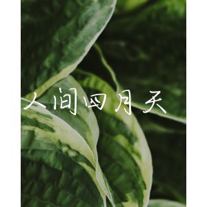 人间四月天 (Remix) dari 张酷