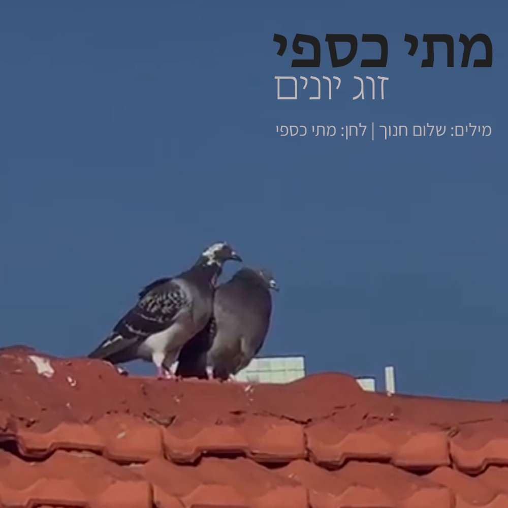 זוג יונים
