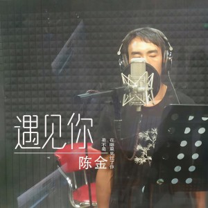 Listen to 遇见你 song with lyrics from 陈金