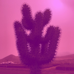 Listen to Souvenir (You Man Remix) song with lyrics from Soleil Vert