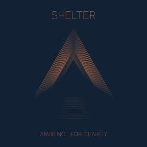 Album Shelter from 