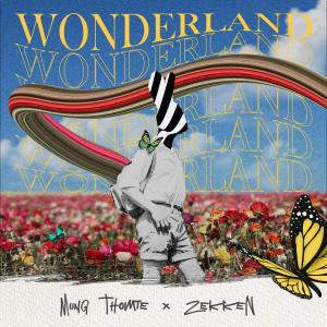 Album Wonderland (feat. Zekken) from Mung Thomte