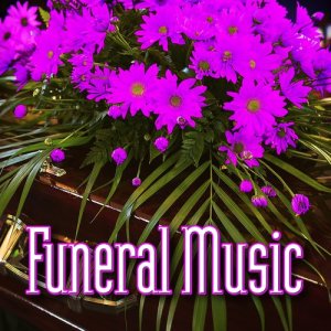 收聽Calming Music for Funerals的Listen to the Wind歌詞歌曲