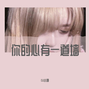 Dengarkan lagu 你的样子（DJ版） nyanyian DJ小娜 dengan lirik