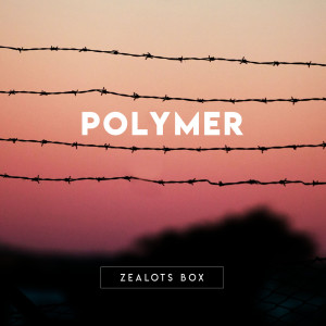 Listen to Twelve song with lyrics from Polymer