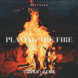 Listen to PLAYING WITH FIRE (其他) song with lyrics from Ginakje