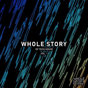 Various Artists的專輯Whole Story Of Tech House Vol. 1