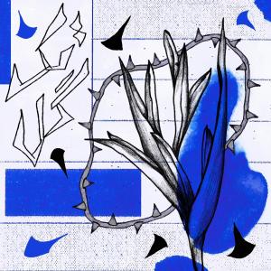 Album Takgol from Daygard