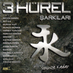 Album 3 Hürel Şarkıları (Sonsuza Kadar) from 