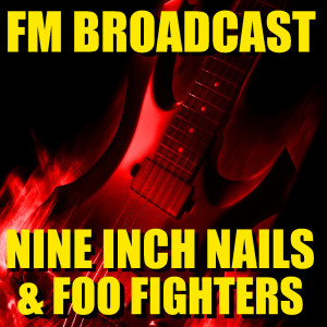 ดาวน์โหลดและฟังเพลง Head Like A Hole (Live) พร้อมเนื้อเพลงจาก Nine Inch Nails