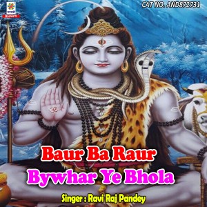 Listen to Baur Ba Raur Bywhar Ye Bhola song with lyrics from Ravi Raj Pandey