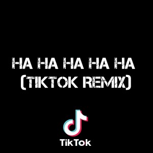 Listen to Ha Ha Ha Ha Ha - (TikTok Remix) song with lyrics from Dj TikToker Viral