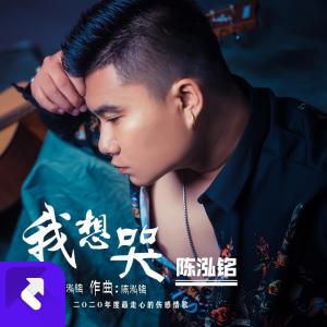 Listen to 我想哭 (完整版) song with lyrics from 陈泓铭