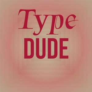 Various Artists的專輯Type Dude