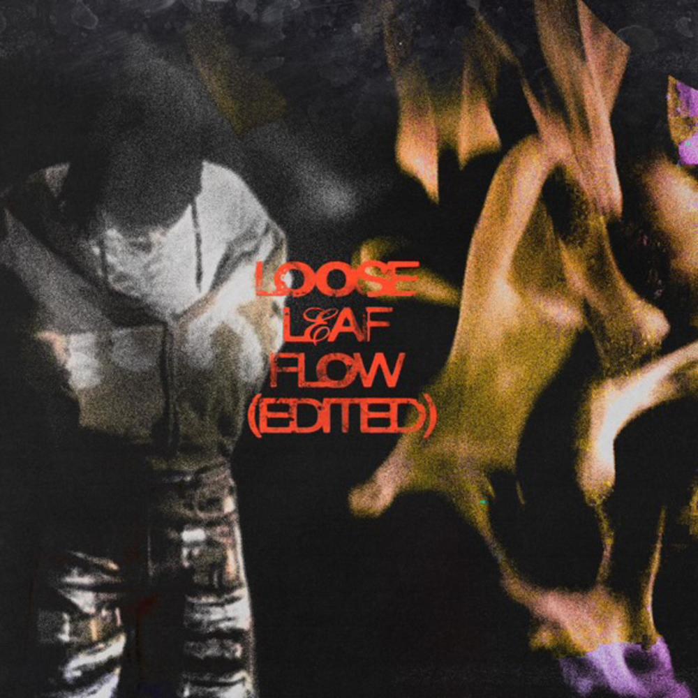 LooseLeaf Flow (Explicit)