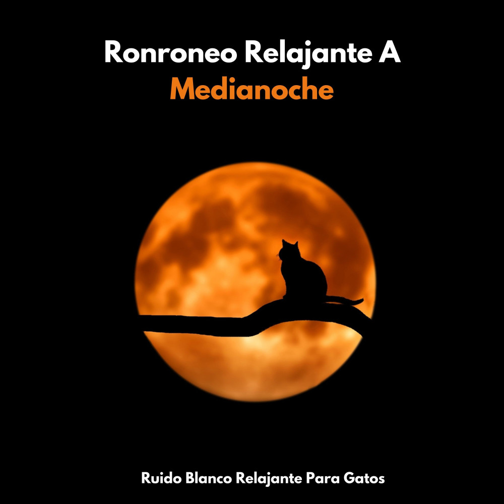 Frecuencias Relajantes Felinas