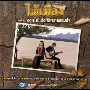 ดาวน์โหลดและฟังเพลง ดอกไม้แห้งกับความทรงจำ พร้อมเนื้อเพลงจาก ไม้เมือง