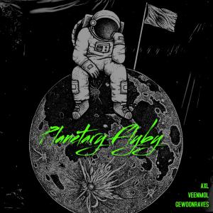 Album Planetary Flyby from VEENMOL