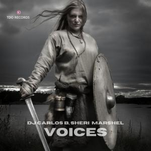 Listen to Voices (Explicit) song with lyrics from DJ Carlos B