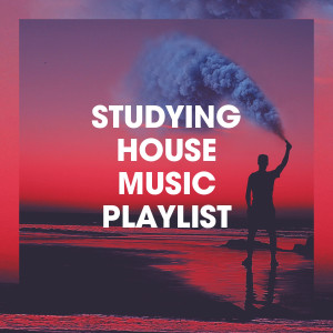 Album Studying House Music Playlist from Various
