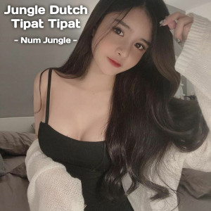Dengarkan Jungle Dutch Tipat Tipat lagu dari Num Jungle dengan lirik