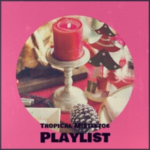 Listen to Blue Christmas Lights song with lyrics from Harve Bishop