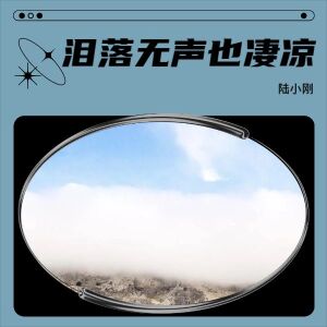 Album 泪落无声也凄凉 from 陆小刚