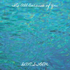 Album Its All Because of You from Dave Storm
