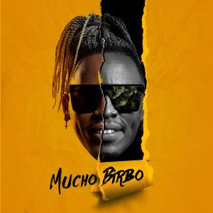 收聽Birbo Music的Enganchá (feat. Wildey & Livan Pro)歌詞歌曲