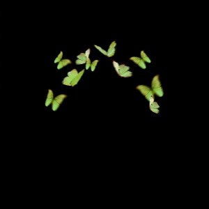 Listen to Fireflies song with lyrics from LalaBay