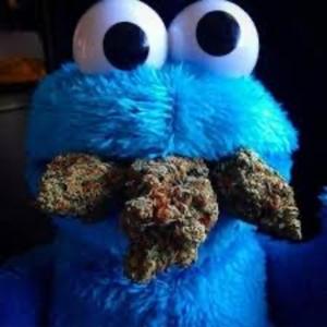 Album COOKIE MONSTER (Explicit) from Syko