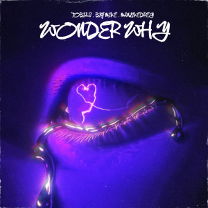 Listen to Wonder Why (Explicit) song with lyrics from Tobias