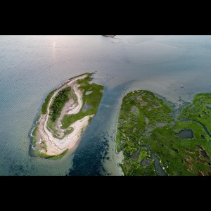 Listen to Soft Ambient Vibes song with lyrics from Relaxing Music