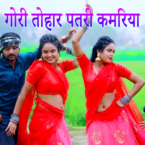 Listen to Gori Tohar Patari Kamariya song with lyrics from Arvind Lal Ahir