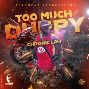Listen to Too Much Duppy (Explicit) song with lyrics from Chronic Law