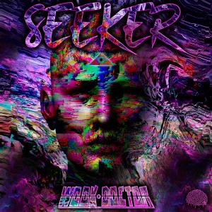 ดาวน์โหลดและฟังเพลง Seeker พร้อมเนื้อเพลงจาก Wook Doctor