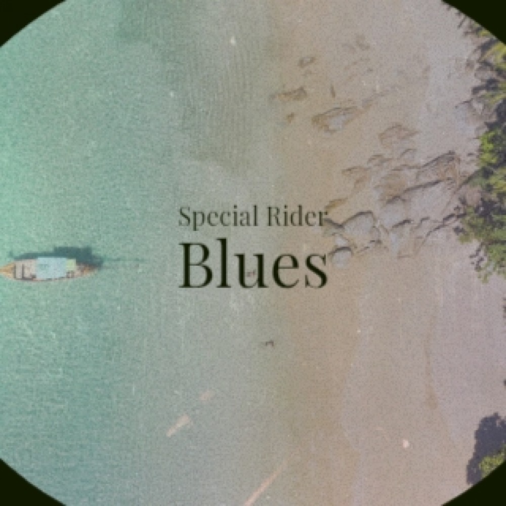 Special Rider Blues
