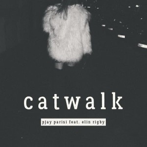 ดาวน์โหลดและฟังเพลง Catwalk พร้อมเนื้อเพลงจาก Pjay Parisi