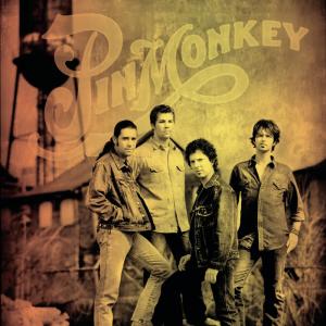 ดาวน์โหลดและฟังเพลง Falling Out Of Love With Me พร้อมเนื้อเพลงจาก Pinmonkey