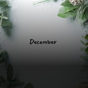 Listen to Cat Man song with lyrics from Gene Vincent