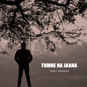 Listen to Tumne Na Jaana song with lyrics from Sahil Chauhan
