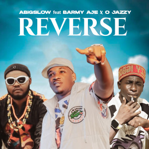Album Reverse from AbigSlow